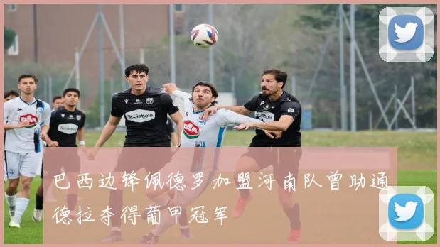 巴西边锋佩德罗加盟河南队曾助通德拉夺得葡甲冠军