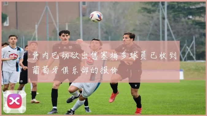 费内巴切欲出售塞梅多球员已收到葡萄牙俱乐部的报价